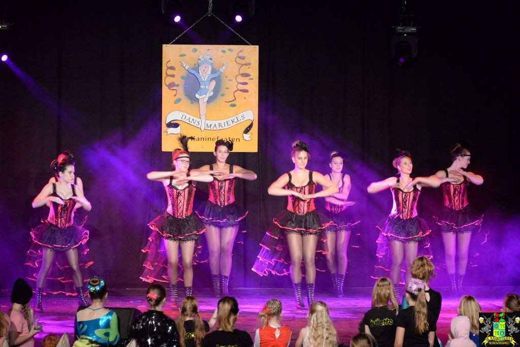../Images/Dansmarieke festival 2018 464.jpg